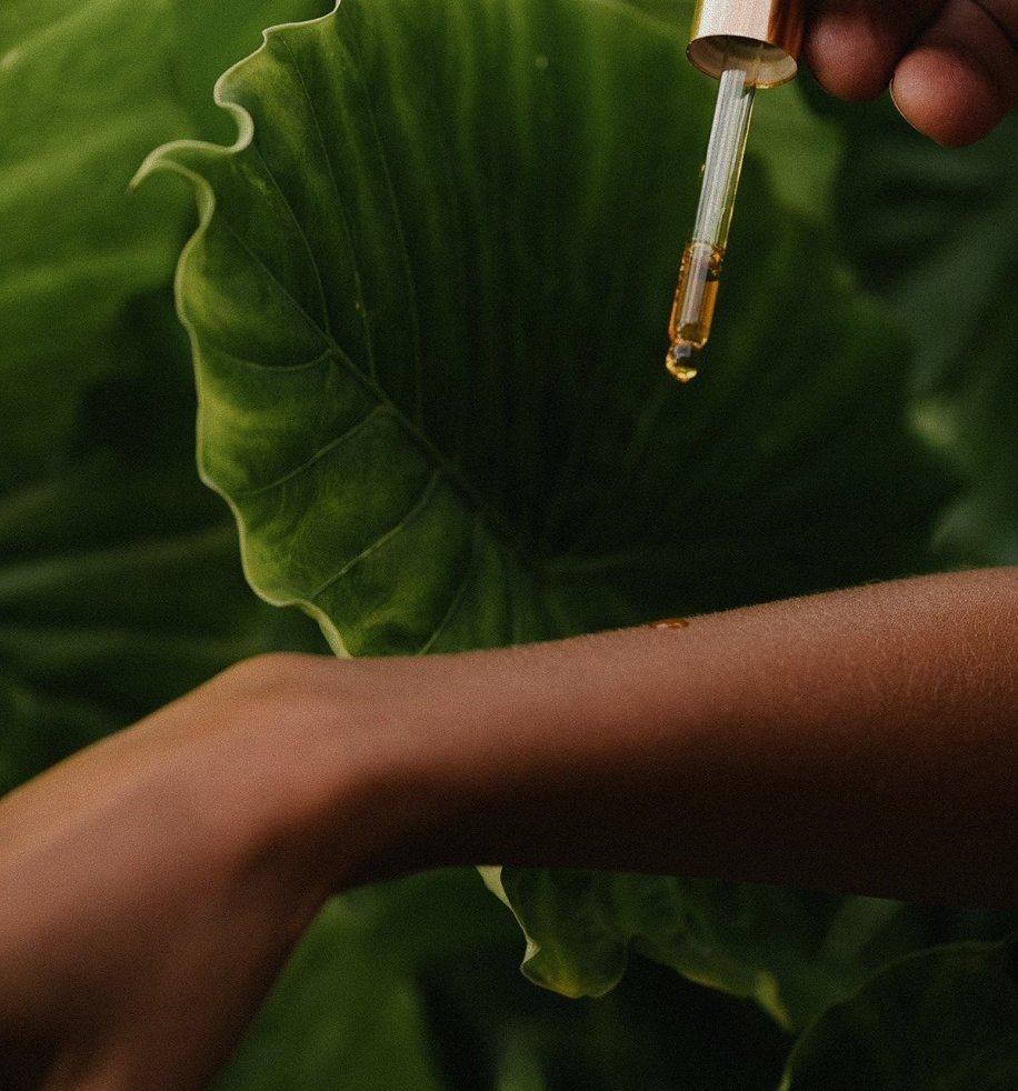 Aurelia Botanics serum bottle styled with a botanical plant cutting